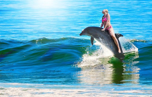 jízda na delfínovi