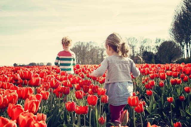 děti a tulipány