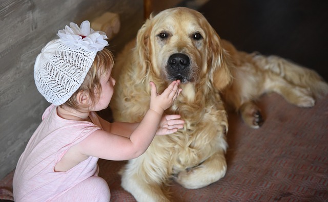 holčička a pes